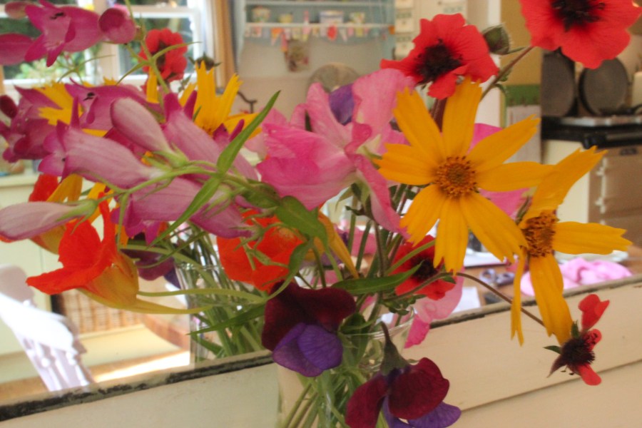 sweet little flowers