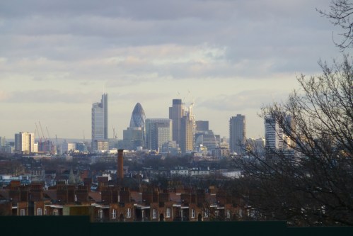 swans and cushion 003