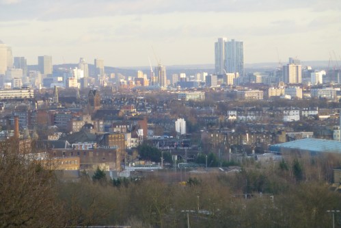 swans and cushion 005