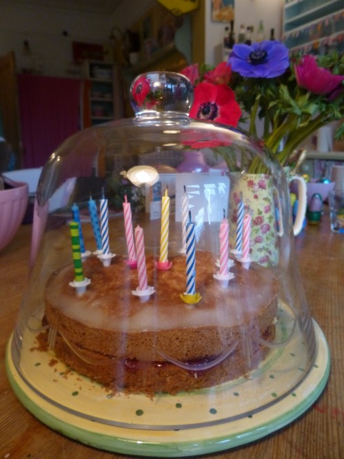 birthday cake, stork, anenomies 004