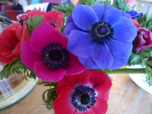 birthday cake, stork, anenomies 006