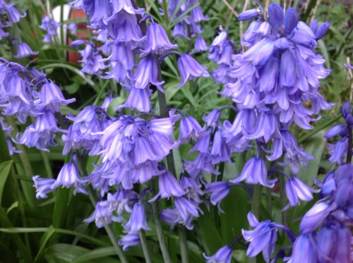 Photo 16-05-2013 19 54 16