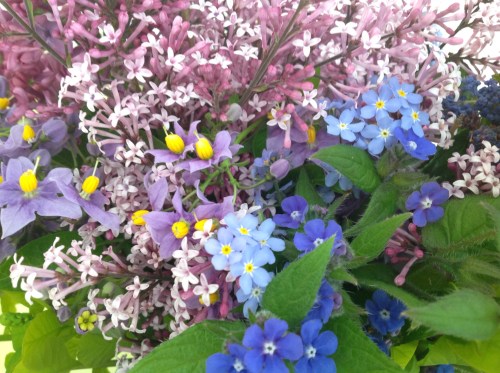 Photo 27-05-2013 15 15 12