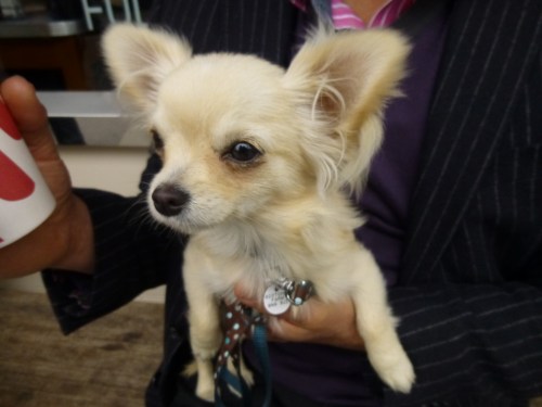 spittalfields market 005