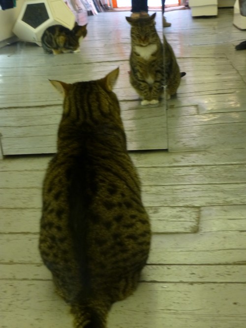 spittalfields market 046