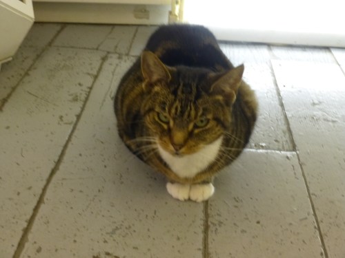 spittalfields market 047