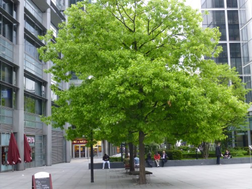 spittalfields market 063